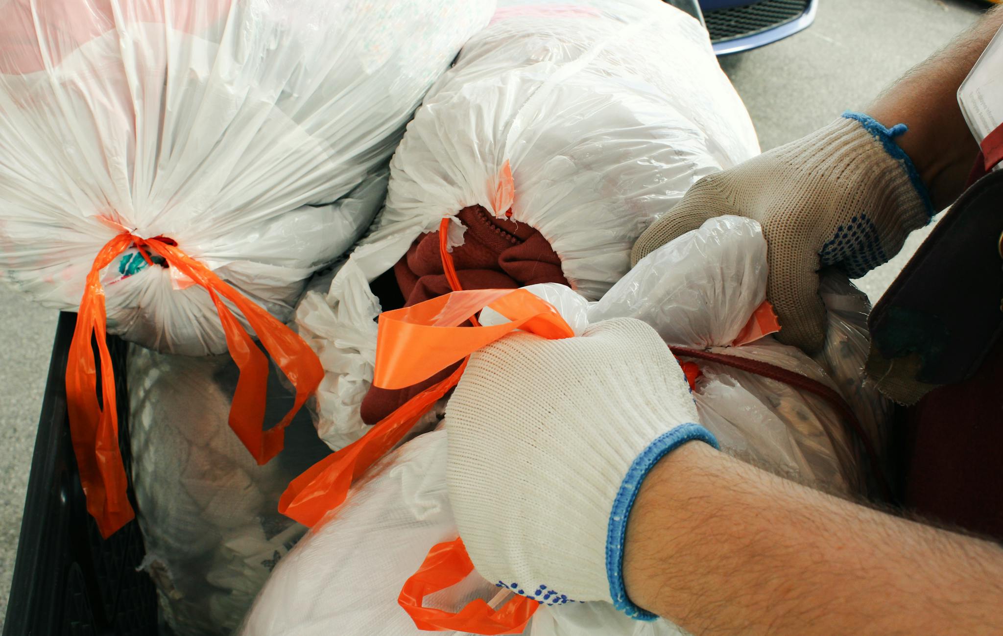A man wearing gloves ties orange ribbons on garbage bags outdoors in York, PA.